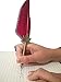 Antique Copper Feather Pen with Ink and Steel Tips Calligraphy Quill Pen Gift Set (wine)