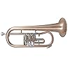 Tuyama® TFH-371 Flügelhorn in B (3 Drehventile) Bugle Goldmessing lackiert