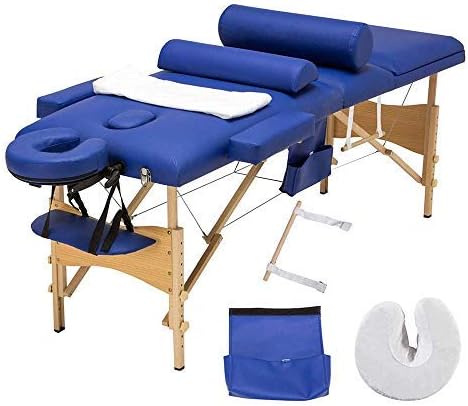 Sanery Folding Massage Table, Massage Bed with Headrest and Armsupport, Massage Couch Height Adjustable Portable for Salon Tattoo Therapy with Carrying Bag