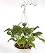 Greengoal 30 Pack Heavy Duty S Shaped Hooks, Rustproof Sliver Finish Steel Hooks Hangers for Kitchenware Pots Utensils Clothes Bags Towels Plants, Silver