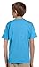 Fruit of the Loom boys Fruit of the Loom Heavy Cotton HD T-Shirt(3931B)-CHOCOLATE-S