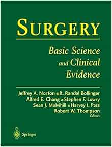 pdf websters italian to english crossword