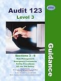 Image de Audit 123: Issue 2.0: Level 3 Guidance