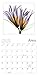 Flower Spirits 2016 Wall Calendar