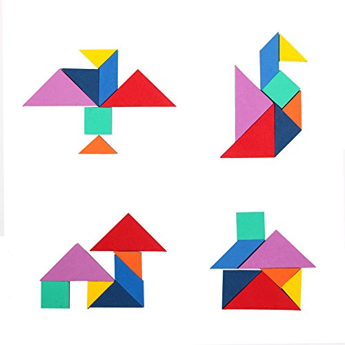 Tangram Travel Game Magnetic Puzzle Book Game Tangrams Jigsaw Shapes Dissection with Solution Questions Traveler Challenge IQ Educational Toy for 3-100 Years Old with 2 Set of Tangrams 360 Patterns