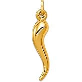 JewelryWeb 14k Yellow Gold Polished Hollow Italian Horn Charm 24x6mm Wide Pendant Necklace for Women
