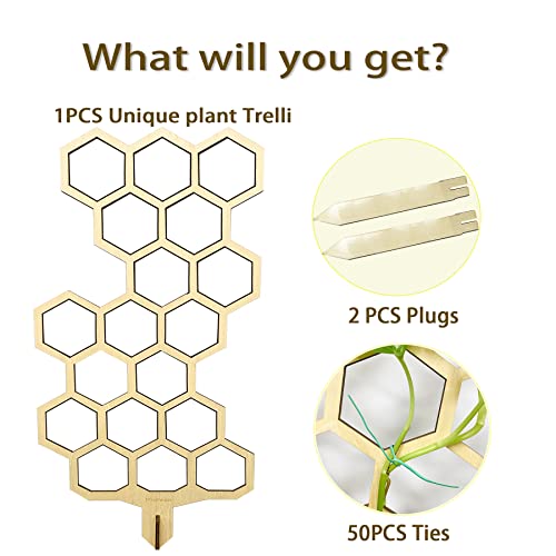 Indoor Small Plant Trellis 23'' Shape Trellis for Climbing Plants, Sturdy Houseplant