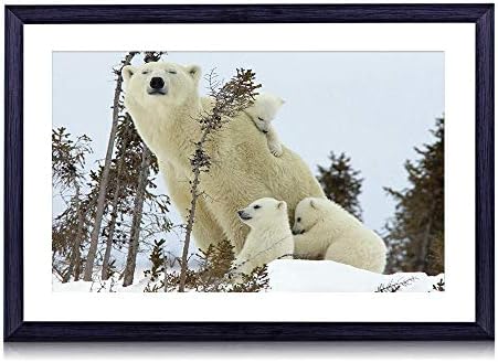 80cmx60cm 木製の黒色のフォトフレーム シロクマ家族赤ちゃん雪 壁掛け 壁飾り 壁ポスター