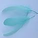 Sowder Natural Goose Feathers Clothing Accessories Pack of 100(Mint Green)