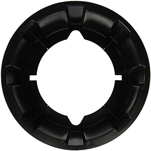 Pentair 154926 Foot Tank Replacement Pool and Spa Filter