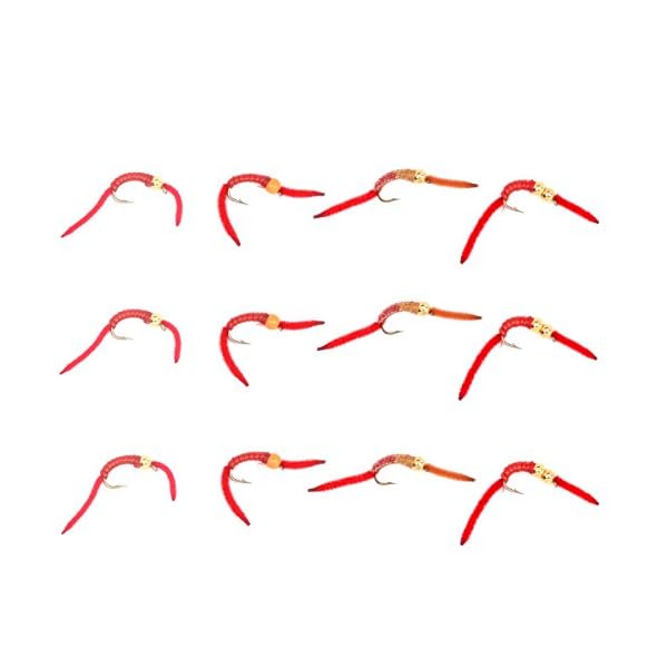 Trout-Fly-Assortment-San-Juan-Worm-Power-Bead-1-Dozen-Wet-Nymph-Fly-Fishing-Flies-Hook-Size-10-3-Each-of-4-Patterns