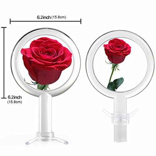 Miss Sweet Hand Held Mirror with 10X Magnification & True Image, 6.16.1inch (S1 10X/1X Hand mirror)