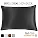 100% Pure Mulberry Silk Pillowcase for Hair and Skin,Both Sides 22 Momme Silk,Both Sides Silk Pillow Case with Hidden Zippe,Hypoallergenic Soft Breathable,1pc