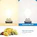 Dimmable E17 LED Bulb Seealle 4W E17 Microwave Oven Light Daylight White 5000K 40W Halogen Equivalent E17 Intermediate Base AC110-130V(Pack of 2)