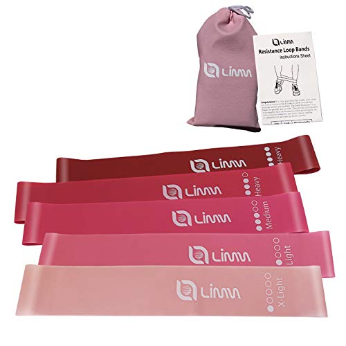 Limm Resistance Exercise Loop Bands - 12-inch Workout Flexbands for Physical Therapy, Rehab, Stretching, Home Fitness and More - Includes Bonus EBooks, Instruction Manual, Online Videos & Carry Bag