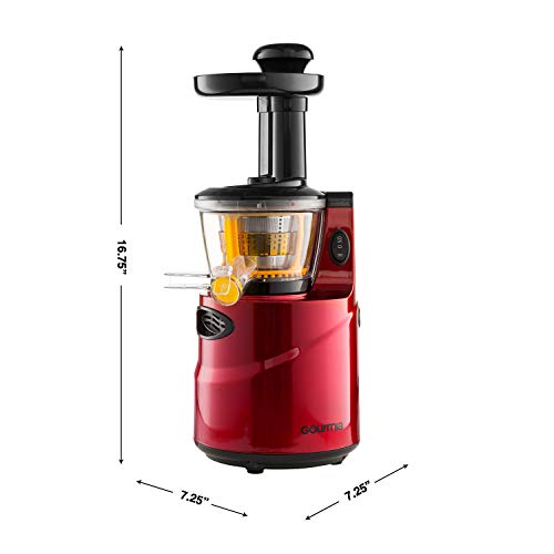 Gourmia GSJ200 Masticating Slow Juicer, Max Nutrient Fruit and