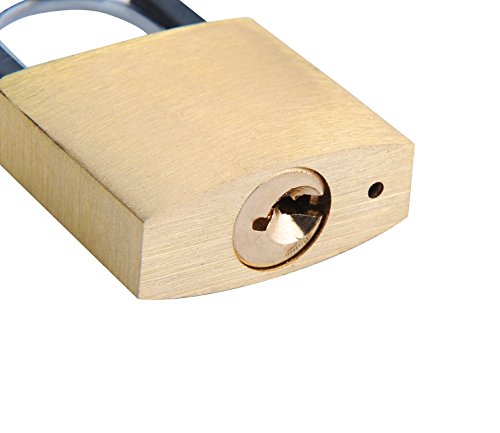 SEPOX Solid Brass Padlock with 30mm Wide Body, ¼” Shackle Diameter pack of 4