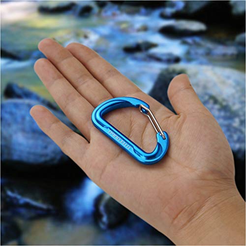 TITECOUGO 6cm D Shape Carabiner Clip Hook D-Ring Key Chain Nonlocking Durable Keychain Mini Carabiners 60mm Small dd Keyring Chains Ring Climbing Lighter Outdoor for Men and Women Sky Blue 2 PCS