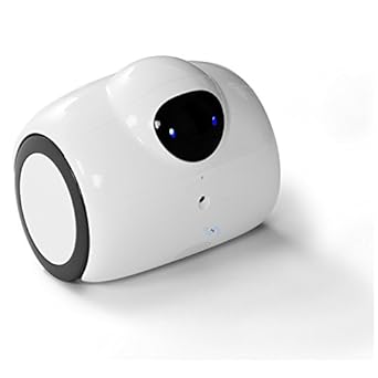 robelf robot amazon