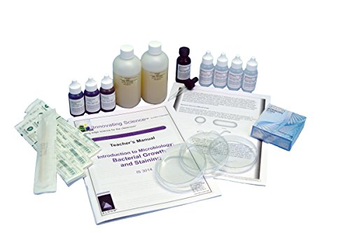 Innovating Science - Introduction to Microbiology: Bacterial Growth and Staining Kit