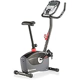 Schwinn A10 Upright Bike