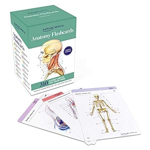 Anatomy Flashcards: 300 Flashcards with Anatomically Precise Drawings and Exhaustive Descriptions + 10 Customizable Bonus Cards and Sorting Ring for Custom Study