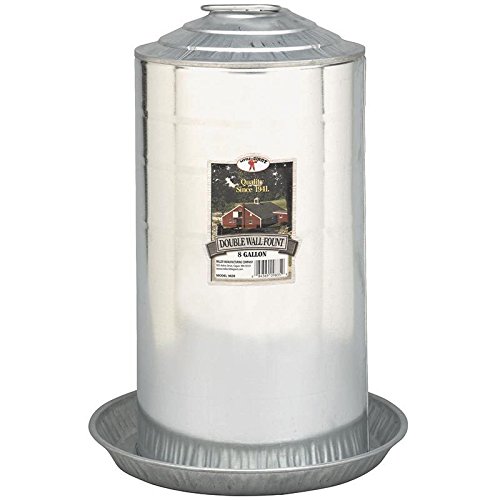 Little Giant Double-Wall Metal Poultry Fount, 8-Gallon