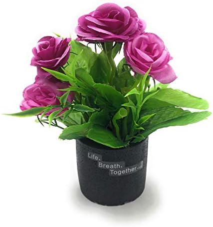 Bonsai Artificial Dwarf Tree ~ Artificial Plants with Pot and Grass Ideal for Home Décor. with Realistic Detailing Size 15 x 12 Cms (Magenta)