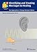 Identifying and Treating Blockages to Healing: New Approaches to Therapy-Resistant Patients (Complementary Medicine (Thieme Paperback))