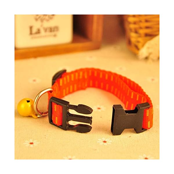 MJBABY Collare per Cani. Animali Domestici Oltre all'anello, Gatti Oltre ai collari antipulci, con Campane, zanzare a… MJBABY MJBABY Collare per Cani. Animali Domestici Oltre all'anello, Gatti Oltre ai collari antipulci, con Campane, zanzare a…