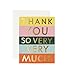 Color Block Stripes Thank You Note Cards by Rifle Paper Co. -- Set of 8 Cards and Envelopes