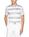 Nike Men's Dry Bold Stripe Golf Polo (X-Large, Wolf Grey/Black)