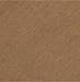 High Speed Gear Velcro Inner Duty Belt, USA Made, Coyote Brown, Medium 32-36