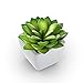 Mini Fake Succulents Artificial Plants X Large Shoe Organizer Storage Boxes for Closet, Modular Space Saving Shoe Boxes Clear Plastic Stackable Sneaker Containers Display Case with Lids, Gray