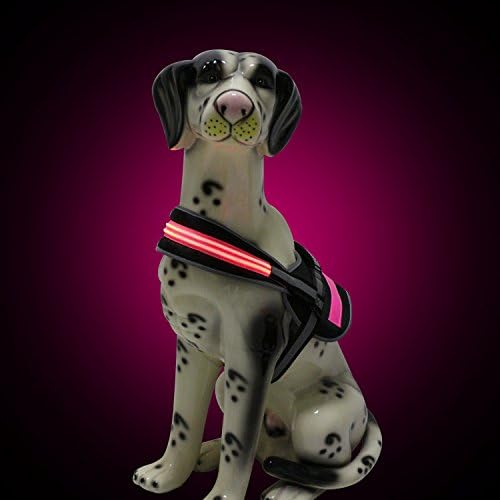 Reflective LED Dog Vest Harness, USB Rechargeable No Pull Adjustable Harness with Breathable Mesh, Name Tag and Elastic Handle Easy Control for Small Medium and Large Dogs - Pink, S