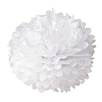 Hmxpls 10pcs White Tissue Hanging Paper Pom-poms, Flower Ball Wedding Party Outdoor Decoration Premium Tissue Paper Pom Pom Flowers Craft Kit