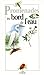 Au bord de l'eau by 