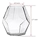 MyGift Clear Glass Tabletop Vase Decor, Hexagonal Multi-Faced Flower Vase