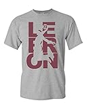 Lebron Cleveland Fan Wear Adult T-Shirt Tee (Medium, Sports Grey w/Maroon)