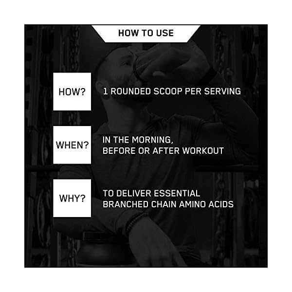 Optimum-Nutrition-5000-Powder-Branched-Chain-Amino-Acids-with-L-Leucine-L-Isoleucine-and-L-Valine-Unflavoured-Muscle-Building-and-Recovery-Supplements-60-Servings-345-g Optimum Nutrition 5000 Powder Branched Chain Amino Acids with L-Leucine, L-Isoleucine and L-Valine, Unflavoured Muscle…