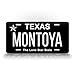 Texas INVERTED License Plate Customized Auto Tag 