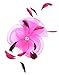 Womens Feather Polyester with a Clip and Brooch Fascinator