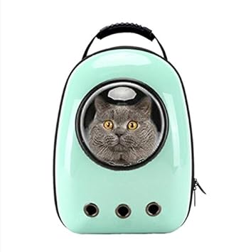pokemon pet carrier
