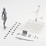 Abbony New Body Chan DX Set Female Variable PVC Figure Model SHF S H Figuarts Gray Color