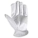 Wells Lamont Men's Full Leather Work Gloves with Reinforced Palm, Grain Goatskin, Elastic Wrist, Medium (1720M)