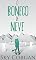 Livro O Boneco de Neve