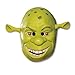 Shrek 34 Vinyl Mask Child Costume Mask,Green,One Size