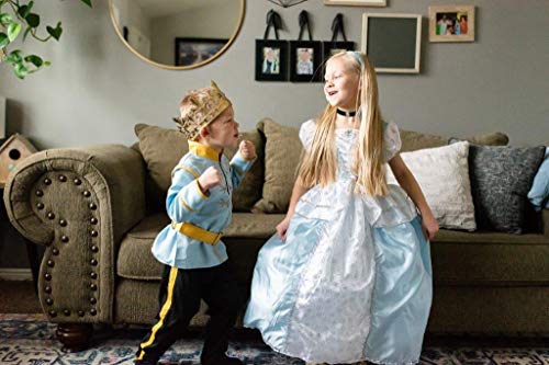 Little Adventures Traditional Cinderella Girls Princess Costume - X-Large (7-9 Yrs)