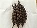 Premium Curly Mohair Natural Hand Dyed Soft Dark Brown for Fake Babies Reborn Doll Supplies Accessories 20g