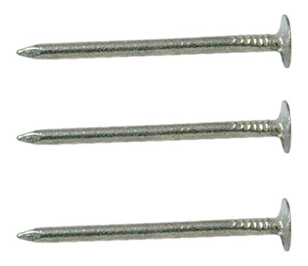 Merriway BH03744 (500 gm) ELH Extra Large Head Clout Nail, 38mm (1.1/2 inch) Galvanised - Pack of 500 gm